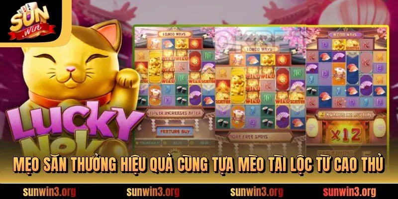 Mẹo săn thưởng hiệu quả cùng tựa mèo tài lộc từ cao thủ